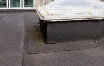 disadvantages of Little Brechin flat roofs